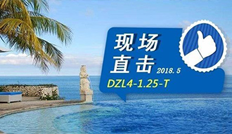 現(xiàn)場(chǎng)直擊丨看生物質(zhì)鍋爐在巴厘島如何強(qiáng)操作，回頭客非它不選